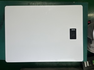 51.2V100AH Wall-mounted Energy Storage Battery 16s Lithium Iron Phosphate